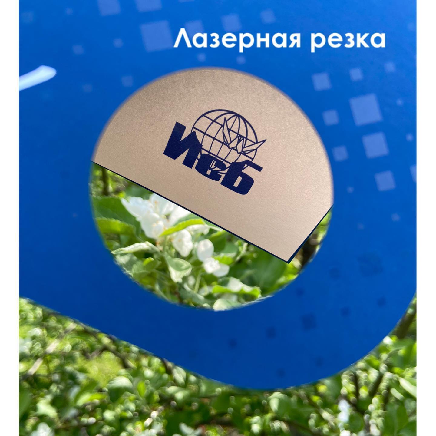 Мы обожаем делать открытки, потому что можно включить полёт