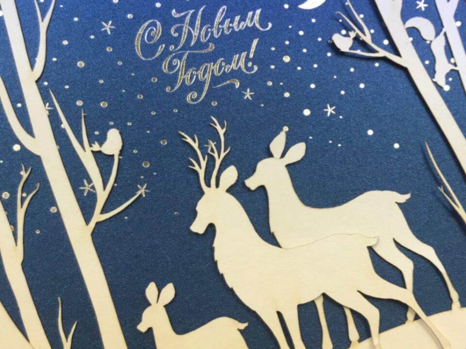 Главная страница Stories от 29.11.2019